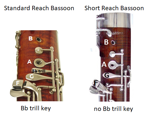 standard reach with Bb trill key, short reach has no Bb trill key