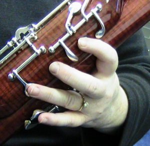 left-hand index, middle, ring, and pinky fingers in relaxed playing position