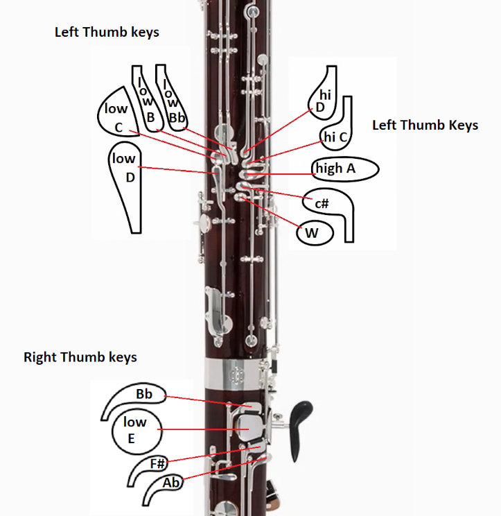 close up of back keys labeled
