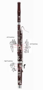 back of assembled bassoon w keys labeled