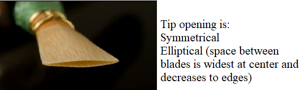 reed tip opening is symmetrical and elliptical