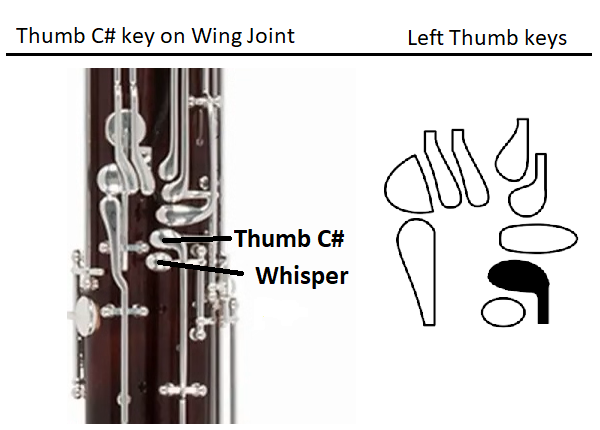 thumb C sharp key located on wing joint and key diagram