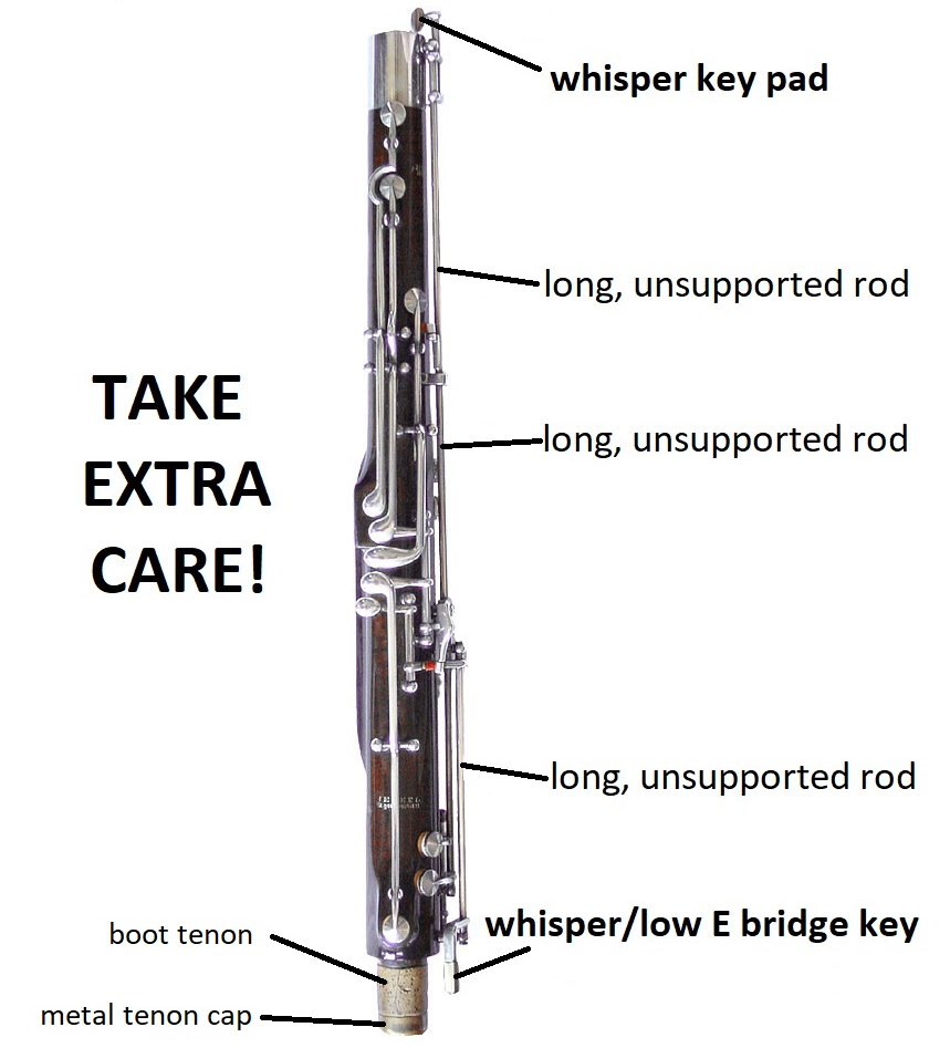 Wing joint with areas that need extra care labeled